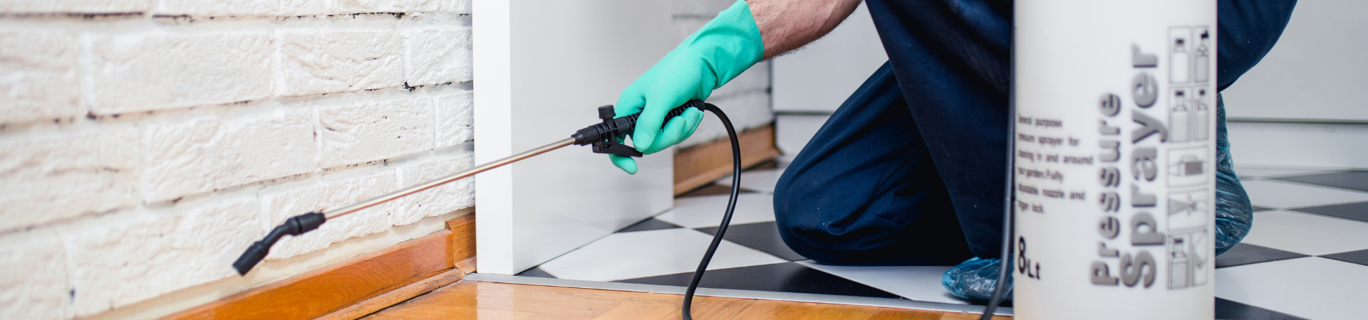 pest control treatment