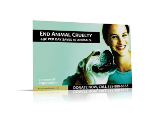 animal-non-profit