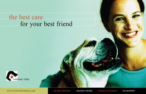 pet-veterinary-eddm pet care EDDM