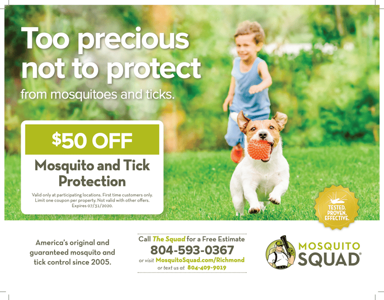 mosquito squad front postcard