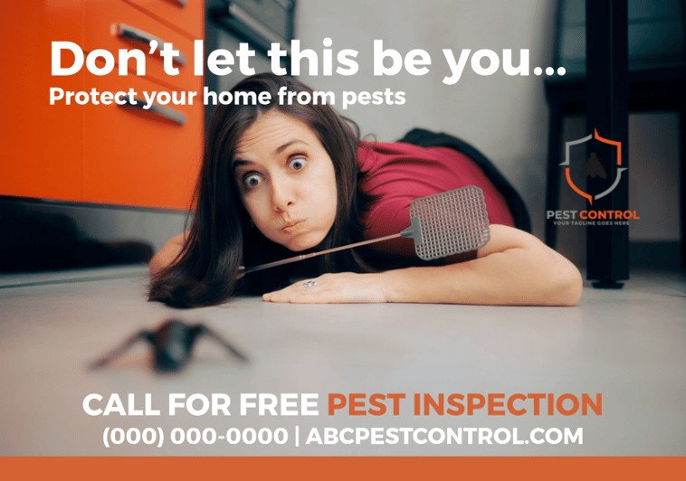 pest control template 3 front