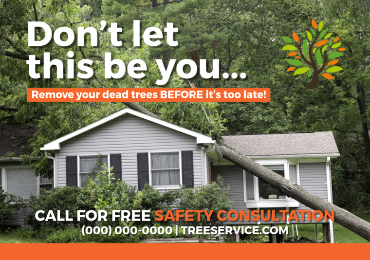 treesafety1